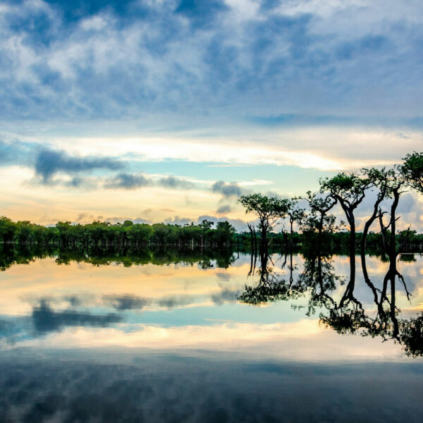 Coucher de soleil sur le fleuve Amazone en Amazonie au Brésil.